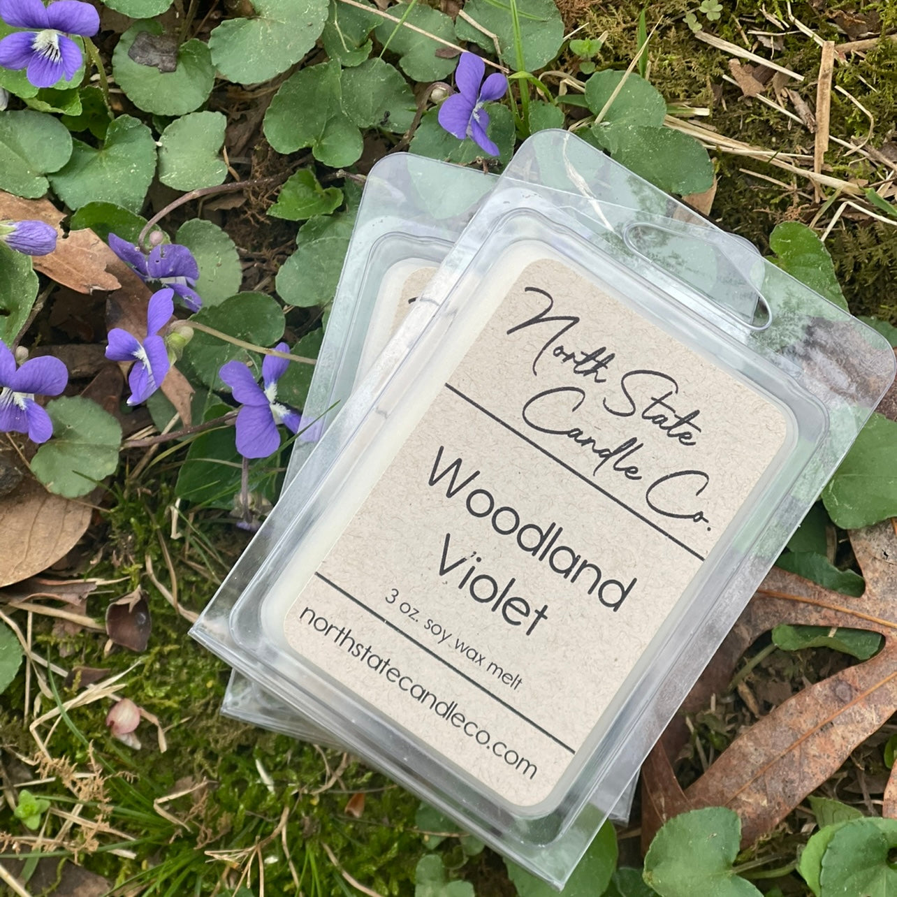 Woodland Violet