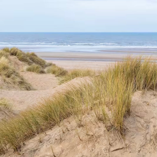 Sandy Dunes