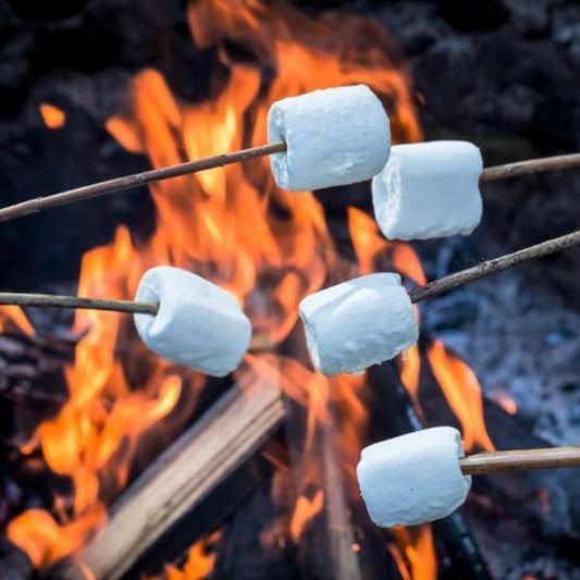 Roasted Marshmallows